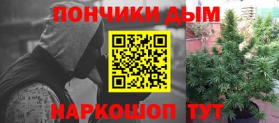 индика Кунгур